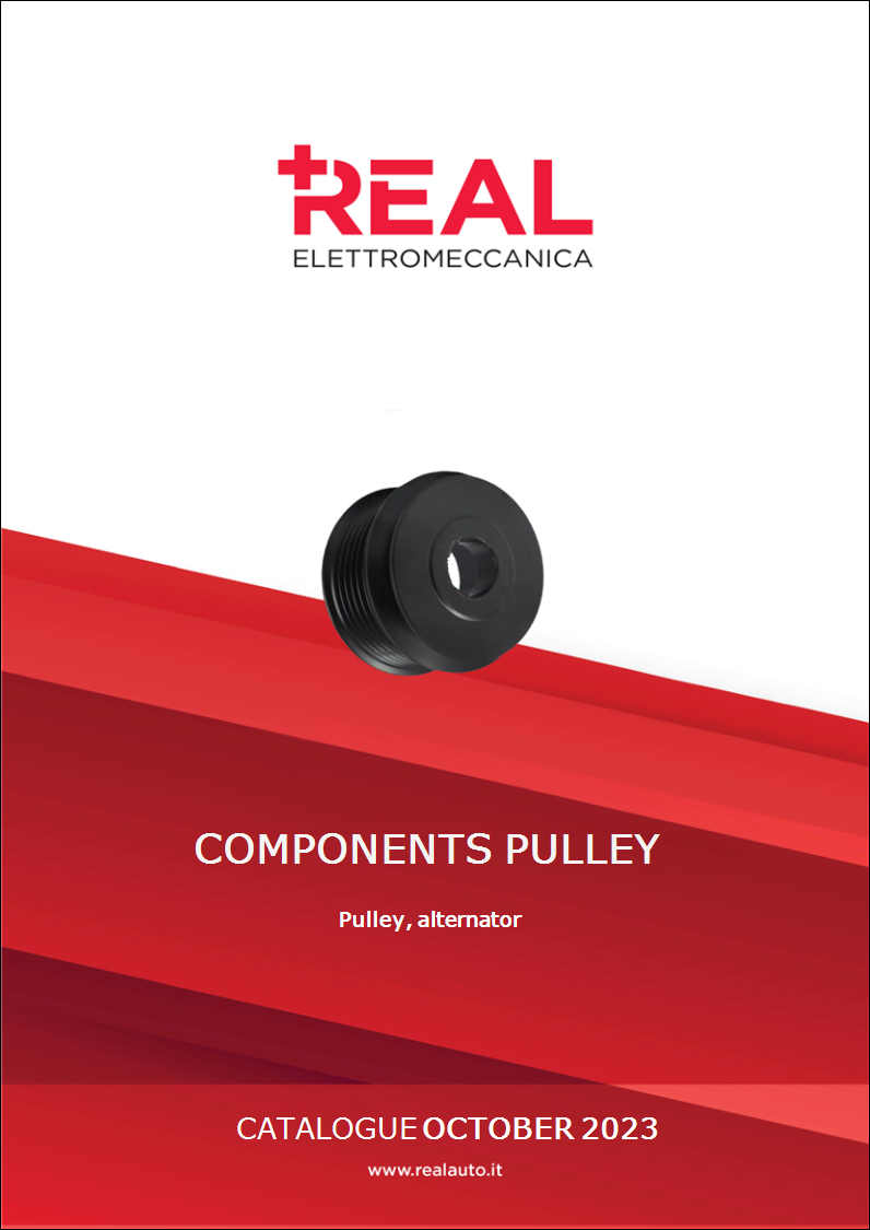 Components Pulley